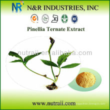 Zuverlässiger Lieferant Ternate Pinellia Extract Powder